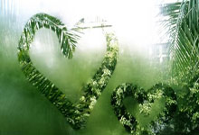 通往数据世界的奇妙入口：数组的基本概念与声明初始化