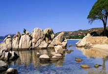 深入JDK中的Optional｜京东云技术团队